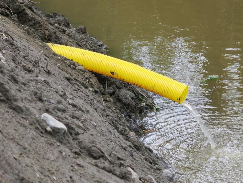 Dawn and Kepak fail EPA environment standards - Premium