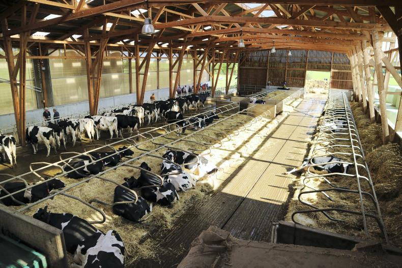 Drought-stricken farmers offered supports as temperatures soar Drought-stricken farmers offered supports as temperatures soar