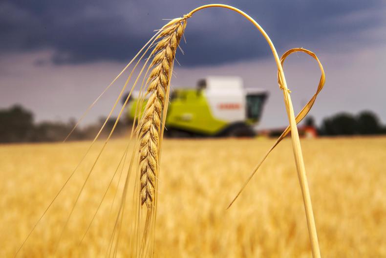 Tillage management: variable harvest performance leaves mixed emotions Tillage management: variable harvest performance leaves mixed emotions