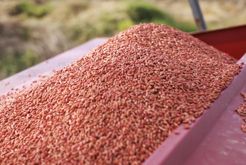 A changing scene for seed dressings A changing scene for seed dressings