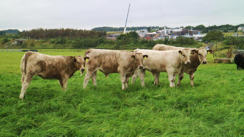 Newford update: working around tricky ground conditions Newford update: working around tricky ground conditions