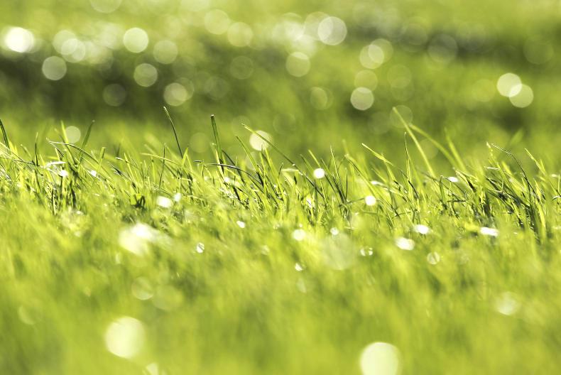 Time to call off Mercosur trade deal as Amazon burns Time to call off Mercosur trade deal as Amazon burns