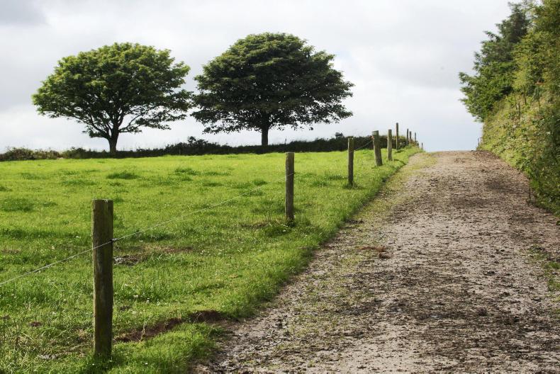 Macra escort scoops top honours in Tralee Macra escort scoops top honours in Tralee