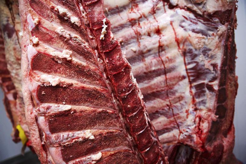 Global report: stories from around the world Global report: stories from around the world