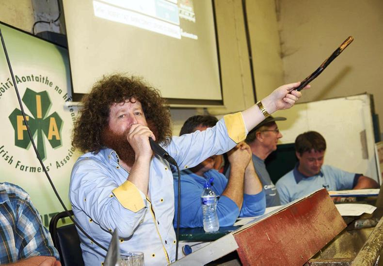 275 animals go under the hammer at Donegal IFA charity auction 275 animals go under the hammer at Donegal IFA charity auction