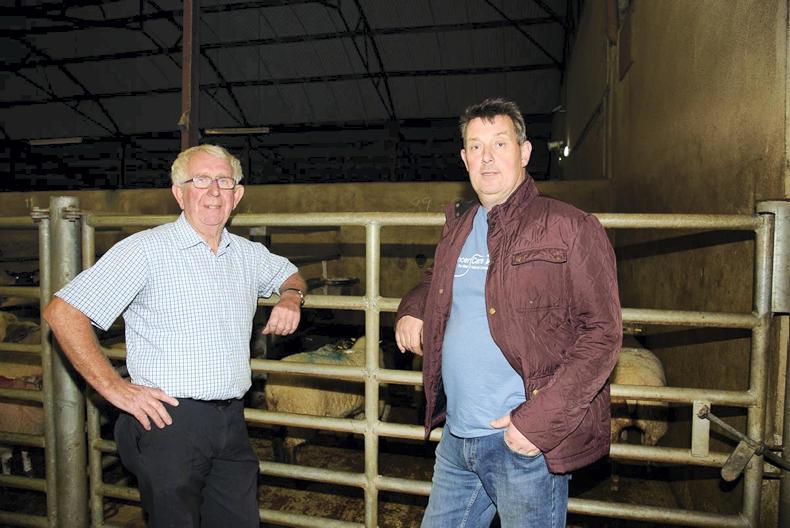 275 animals go under the hammer at Donegal IFA charity auction 275 animals go under the hammer at Donegal IFA charity auction