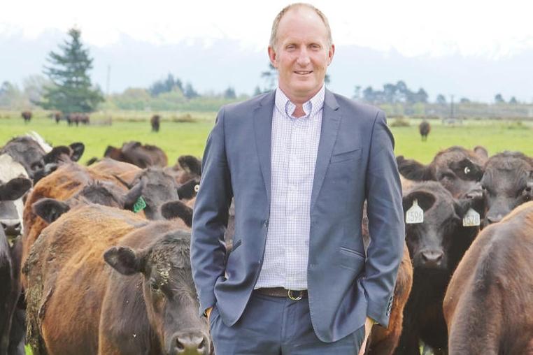 20 minutes with Andrew Morrison, Beef and Lamb NZ 20 minutes with Andrew Morrison, Beef and Lamb NZ