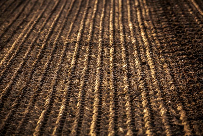 Tillage management: weather dictating planting opportunities once again Tillage management: weather dictating planting opportunities once again