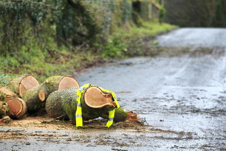 Storm Lorenzo: up to 50mm of rain and gusts of 130km/h Storm Lorenzo: up to 50mm of rain and gusts of 130km/h