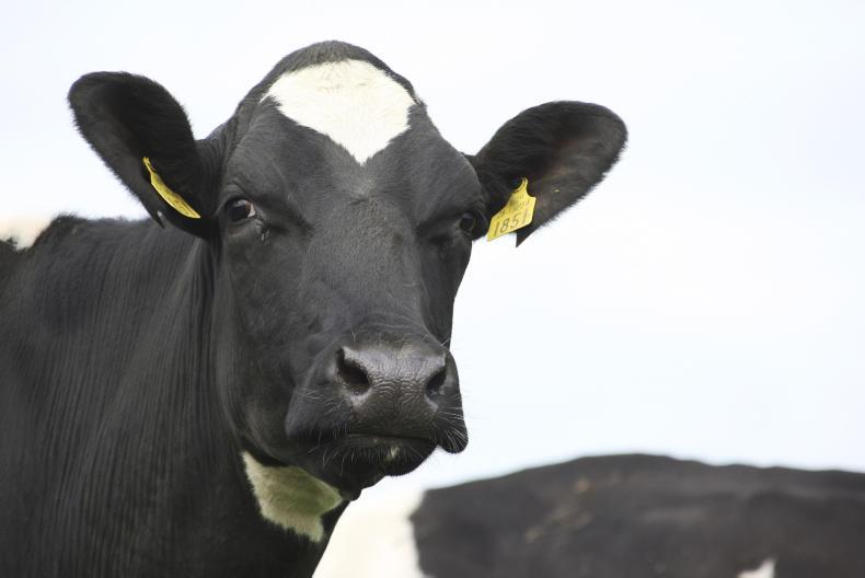 Up to €10,500 for farmers in Mulkear river scheme Up to €10,500 for farmers in Mulkear river scheme