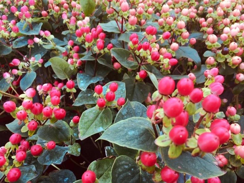 Living Life: this week's Going out Guide Living Life: this week's Going out Guide