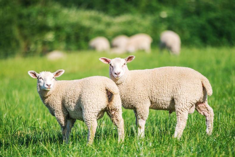 IFA news and activities IFA news and activities