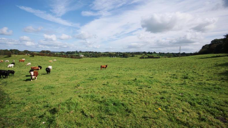 Over 100ac up for auction on Cavan-Meath border in November Over 100ac up for auction on Cavan-Meath border in November