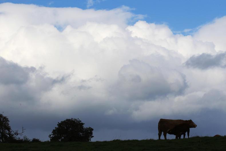 Suckler scrappage scheme mooted in Athenry Suckler scrappage scheme mooted in Athenry