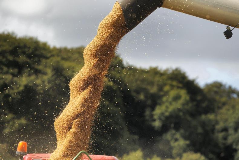 Low wheat yields in Argentina help prices Low wheat yields in Argentina help prices
