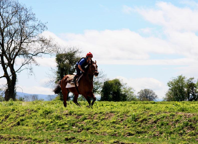 'You don't do it for the money, you do it for the love of it' 'You don't do it for the money, you do it for the love of it'