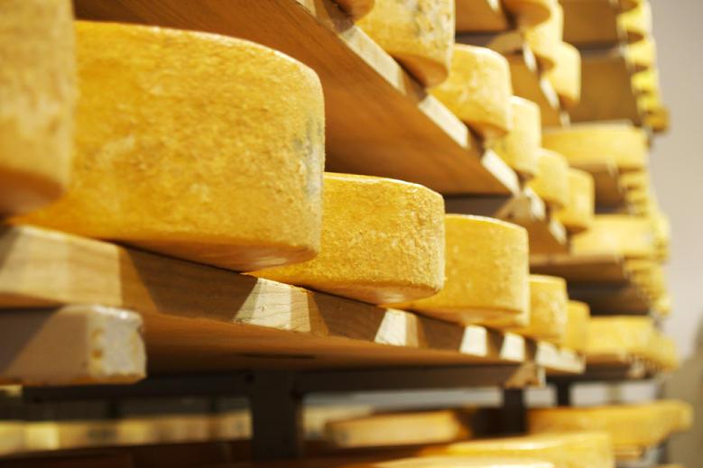 Dairy trends – 2019 set to be record year for EU dairy exports Dairy trends – 2019 set to be record year for EU dairy exports