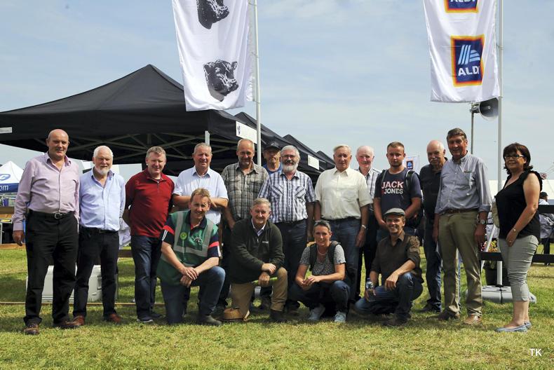 New avenue opened for Irish Angus cattle New avenue opened for Irish Angus cattle