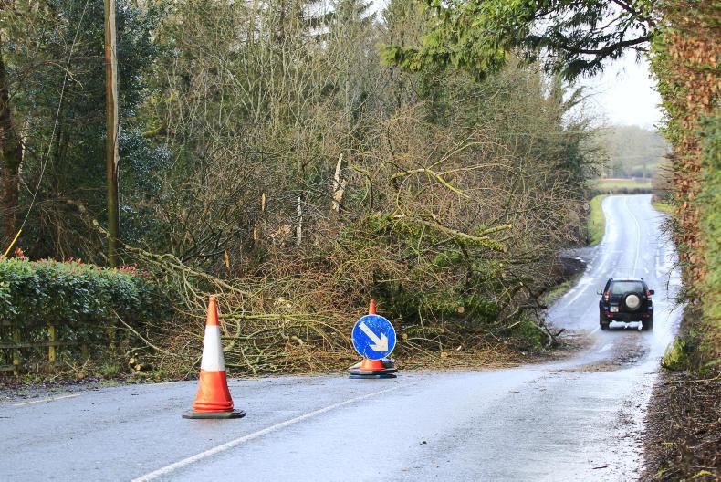 Storm Brendan hits the west coast as 48,000 left without power Storm Brendan hits the west coast as 48,000 left without power
