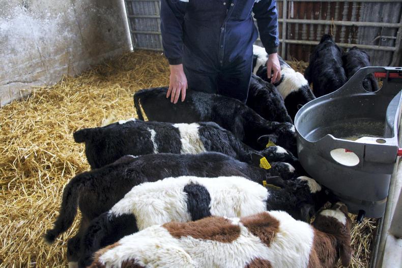 Mandatory recording of dam breed on cattle ID cards Mandatory recording of dam breed on cattle ID cards