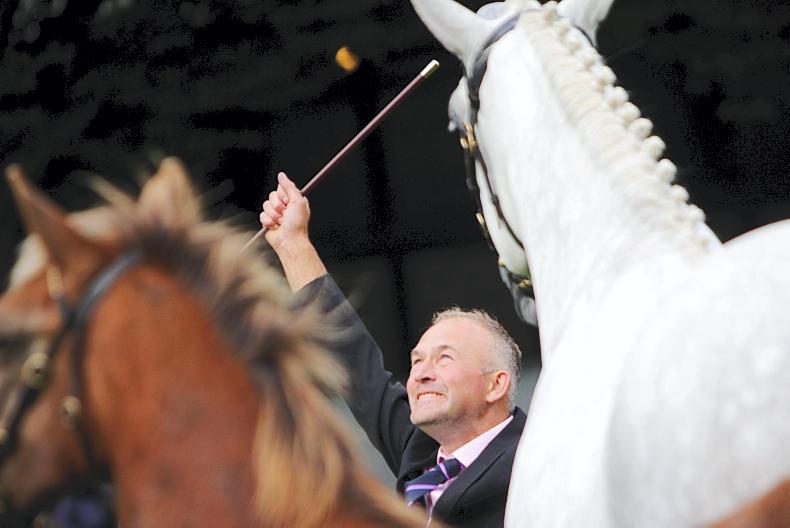 Murphy's Dublin dream Murphy's Dublin dream