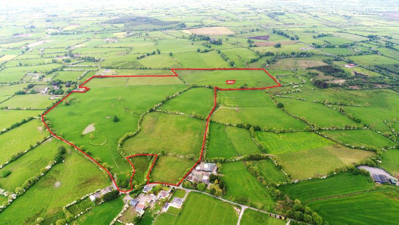 Over 100 acres in one block for sale in Longford Over 100 acres in one block for sale in Longford