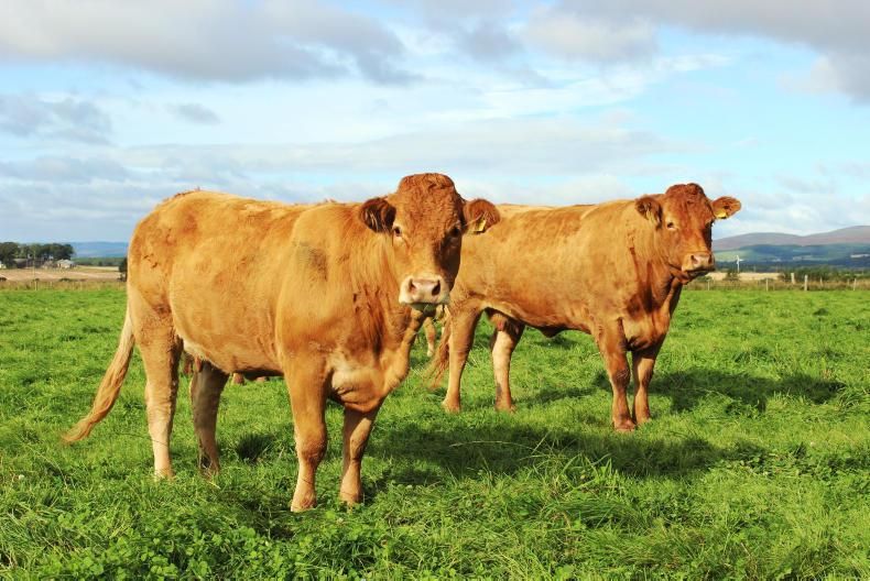 £70/ha more from cows £70/ha more from cows