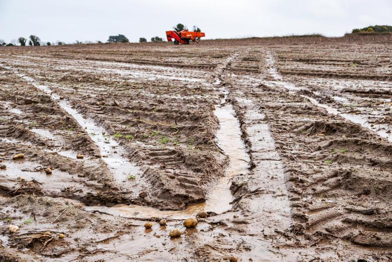 Record rainfall could result in 1.2m acres of fallow in Ireland and UK Record rainfall could result in 1.2m acres of fallow in Ireland and UK