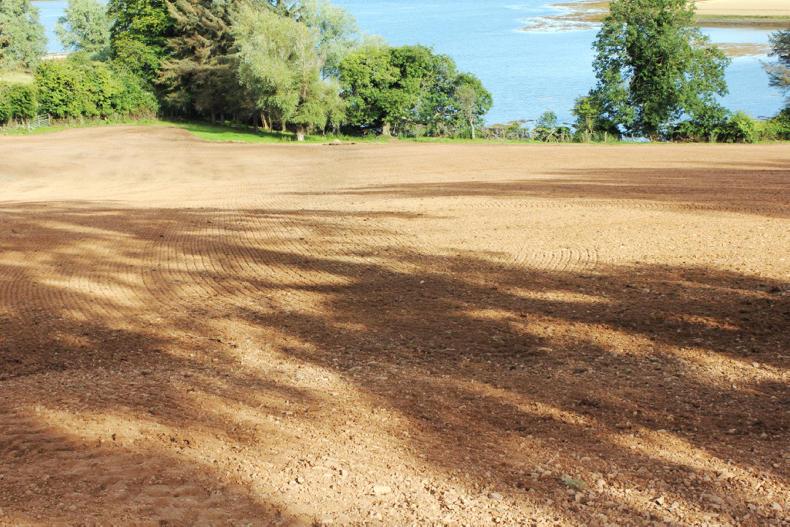 Rethink needed when reseeding grassclover leys Premium