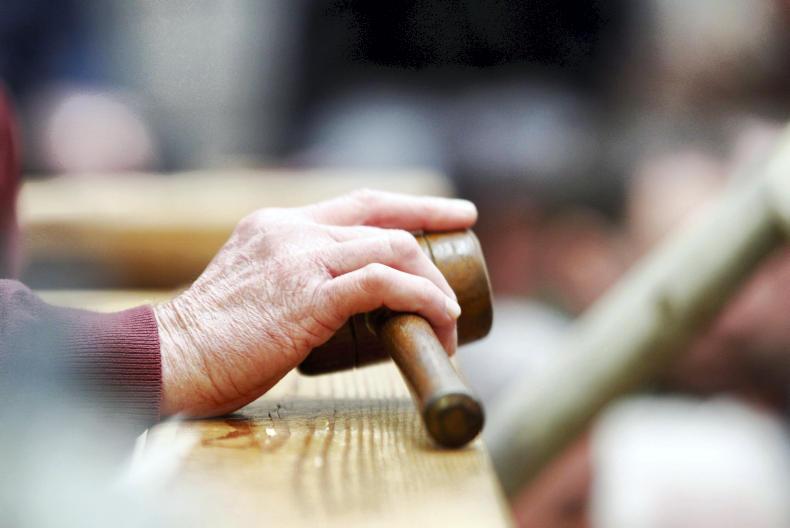 500,000 cattle mart movements on hold - €10 million loss in income for marts 500,000 cattle mart movements on hold - €10 million loss in income for marts