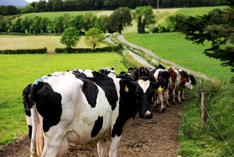 Dairy and arable farms consolidate in NI Dairy and arable farms consolidate in NI