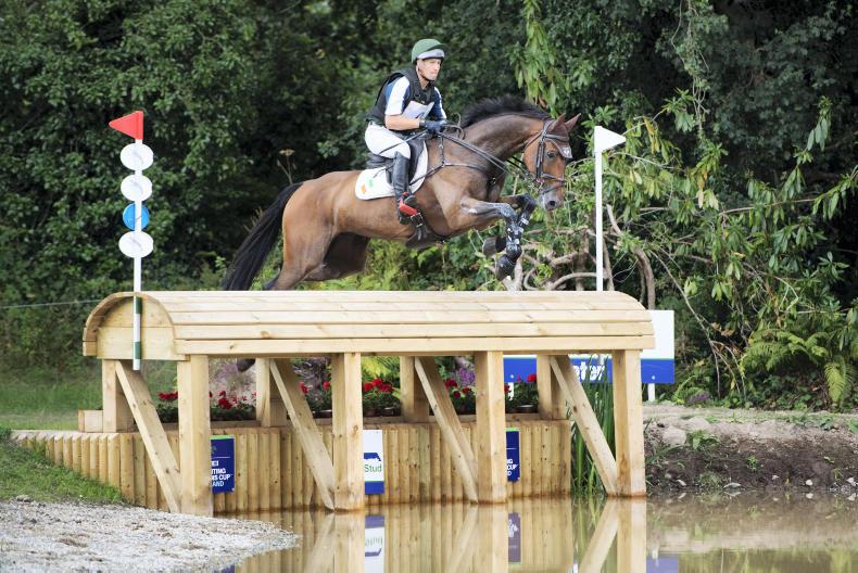 Equestrian community comes together to raise funds in the fight against COVID-19 Equestrian community comes together to raise funds in the fight against COVID-19