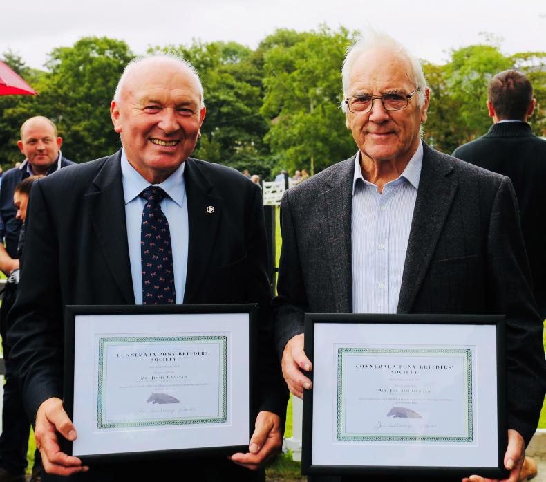 Life lessons Life lessons