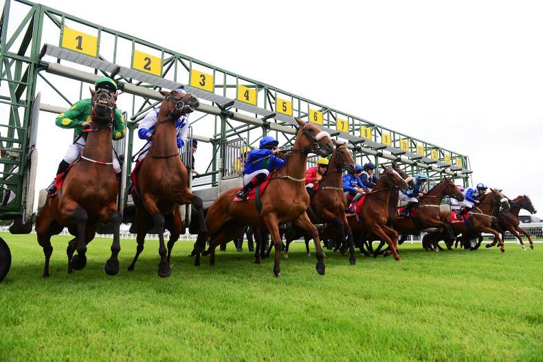 Rising hope Irish racing can return next month Rising hope Irish racing can return next month