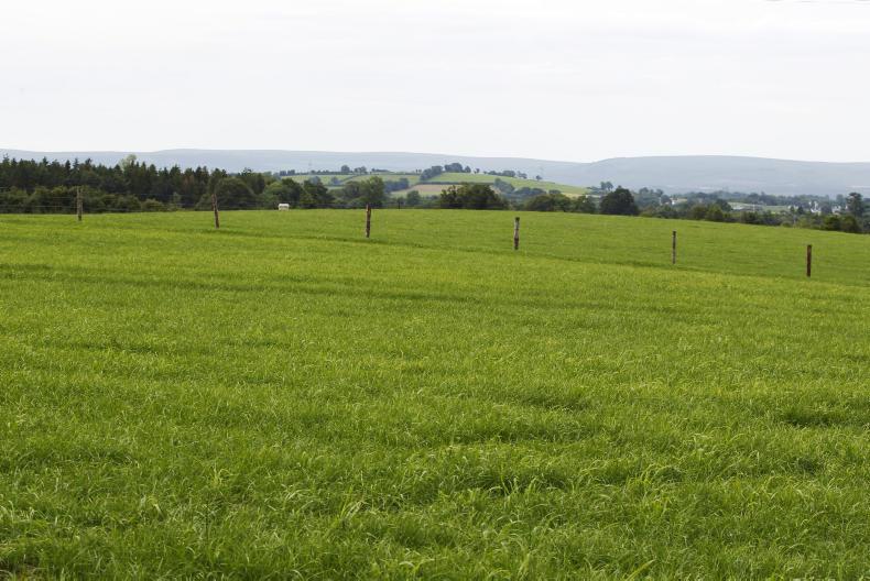 Up to 9m tonnes of carbon dioxide being captured by grasslands given no credit Up to 9m tonnes of carbon dioxide being captured by grasslands given no credit