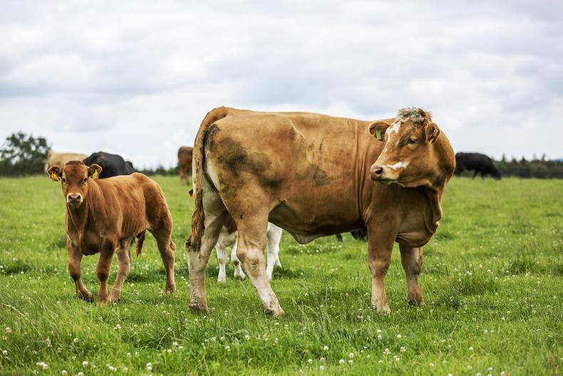 Credit guarantee scheme important for farmers' cashflow Credit guarantee scheme important for farmers' cashflow