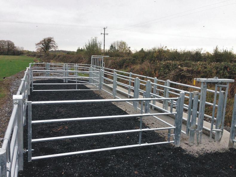 Farm Buildings a tidy handling unit for 40 cattle 26 May 2020 Premium