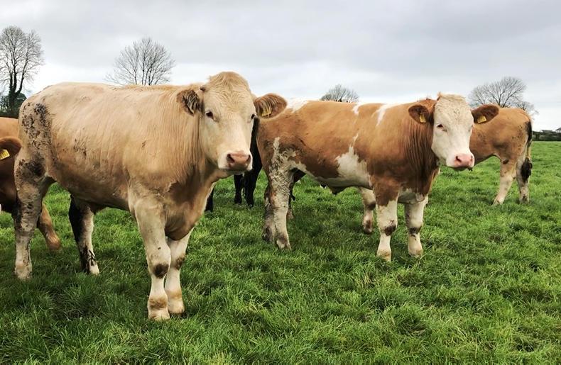 The low impact of Irish agriculture emissions