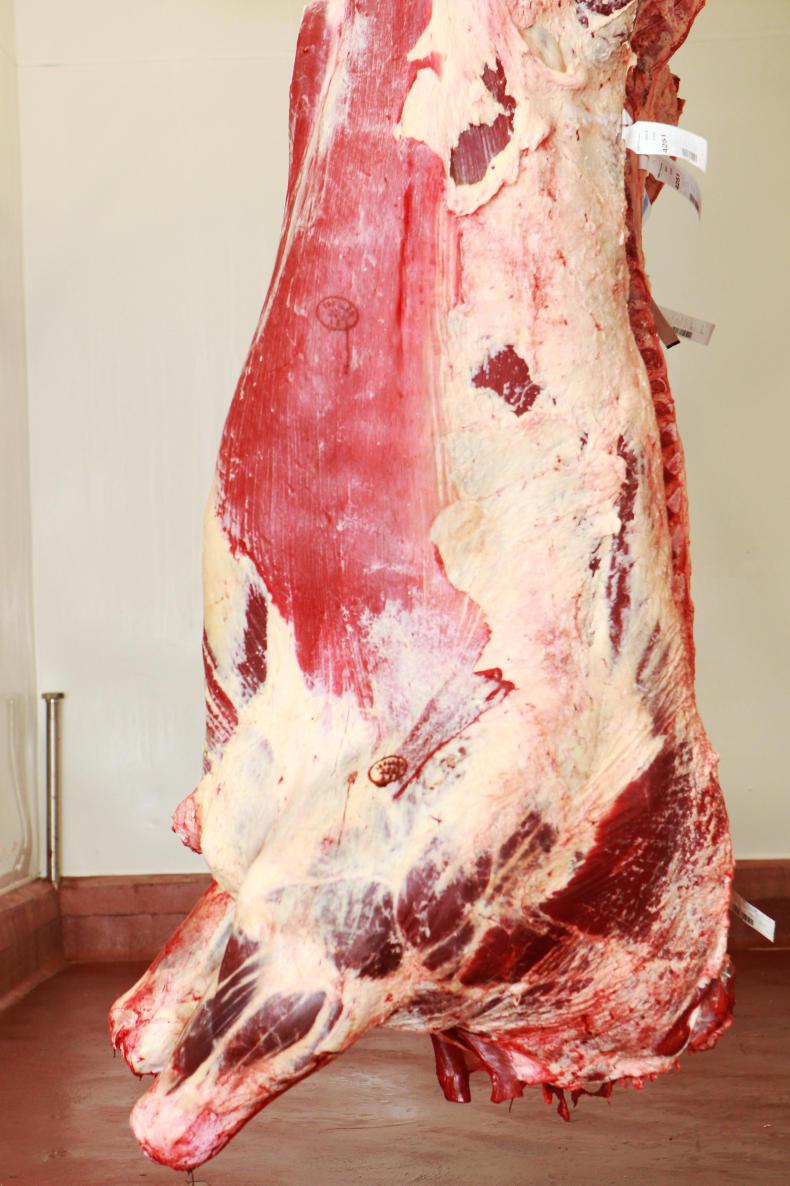 Beef Trends: good retail sales places floor under in-spec cattle Beef Trends: good retail sales places floor under in-spec cattle