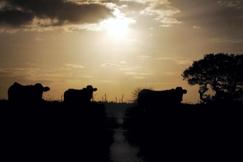 CAP money moves to the west CAP money moves to the west