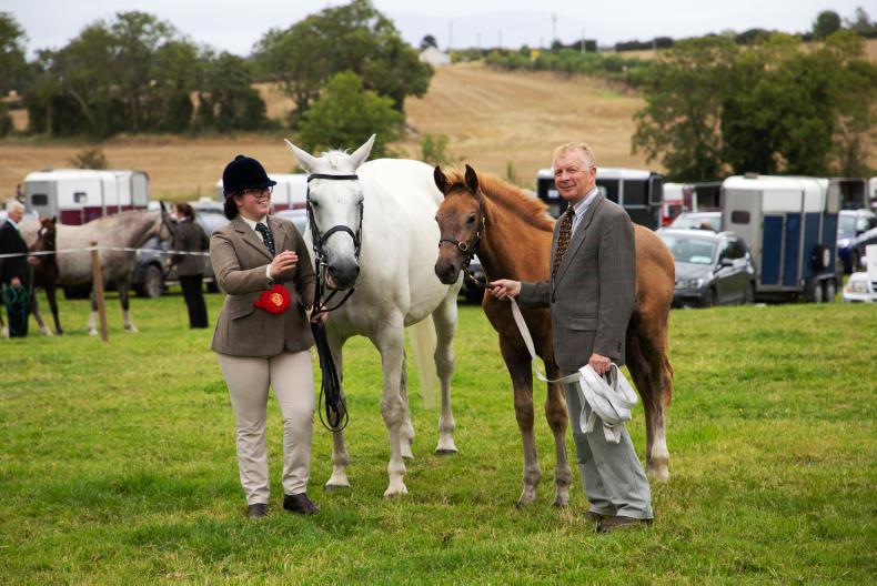 A multi-talented family A multi-talented family
