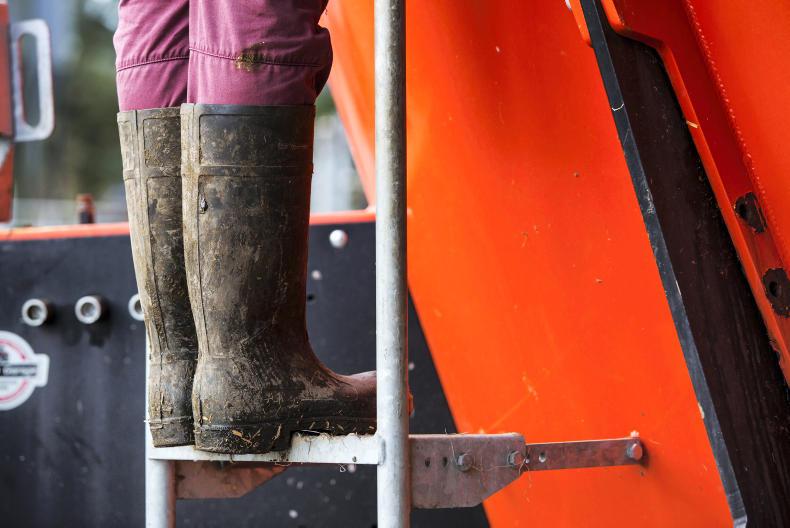 'Blended learning' for incoming Green Cert students 'Blended learning' for incoming Green Cert students