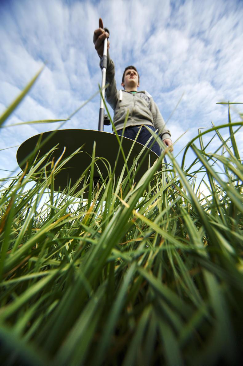 The Grass Week: surplus grass and July management The Grass Week: surplus grass and July management