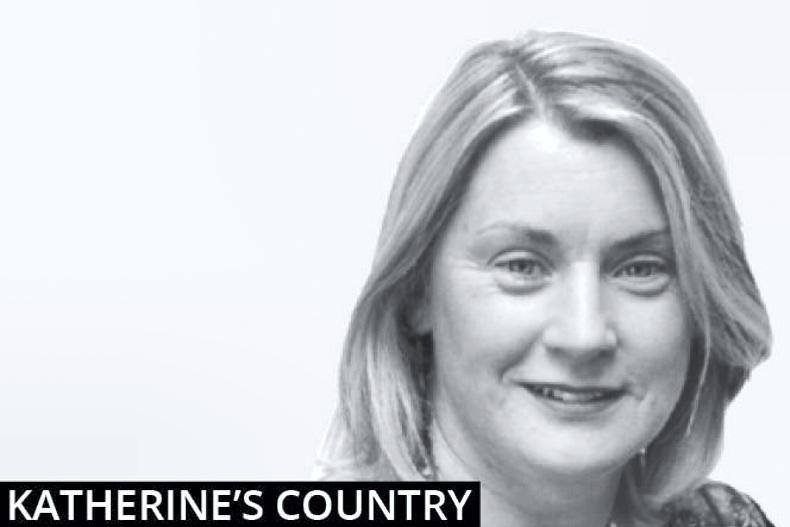Katherine’s Country: mental health has become everyone’s focus Katherine’s Country: mental health has become everyone’s focus