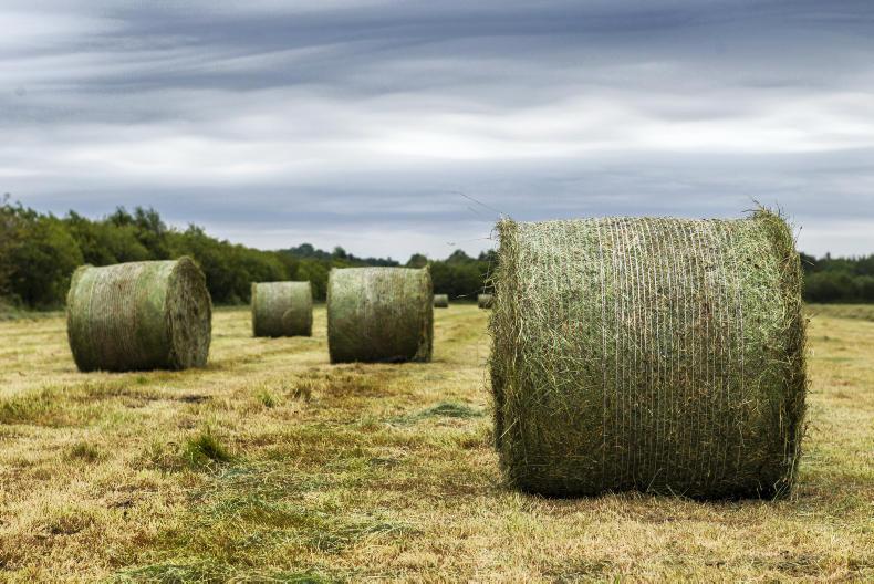 Court backs farmer on debt repayments Court backs farmer on debt repayments