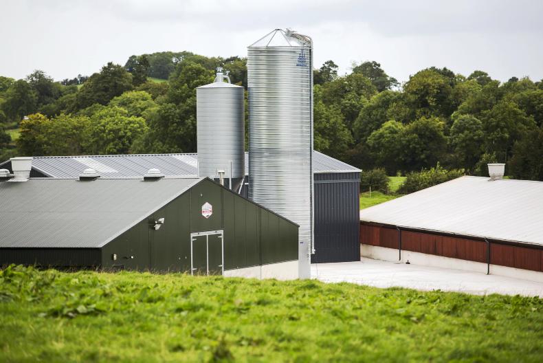 Poultry meat expansion looks set to continue Poultry meat expansion looks set to continue