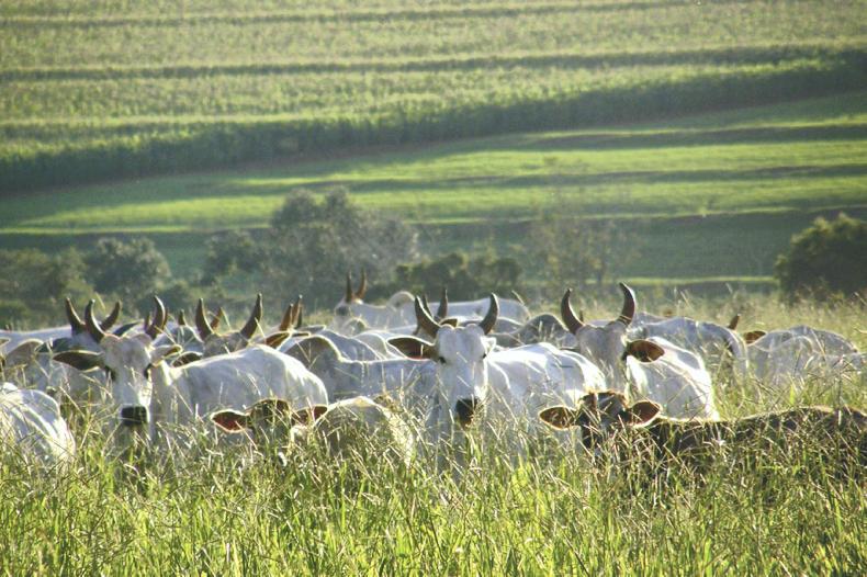 Global Report: stories from around the world