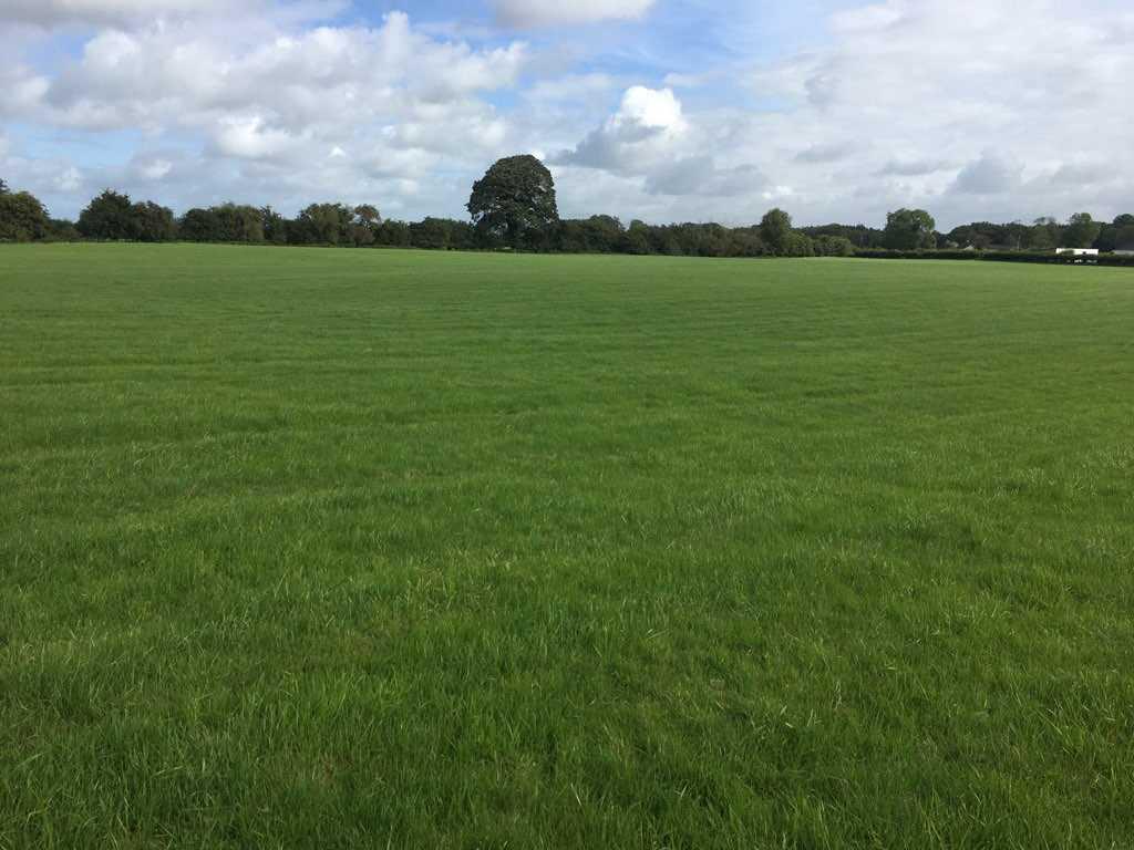 Clean grassland for auction in Co Meath 16 September 2020 Premium