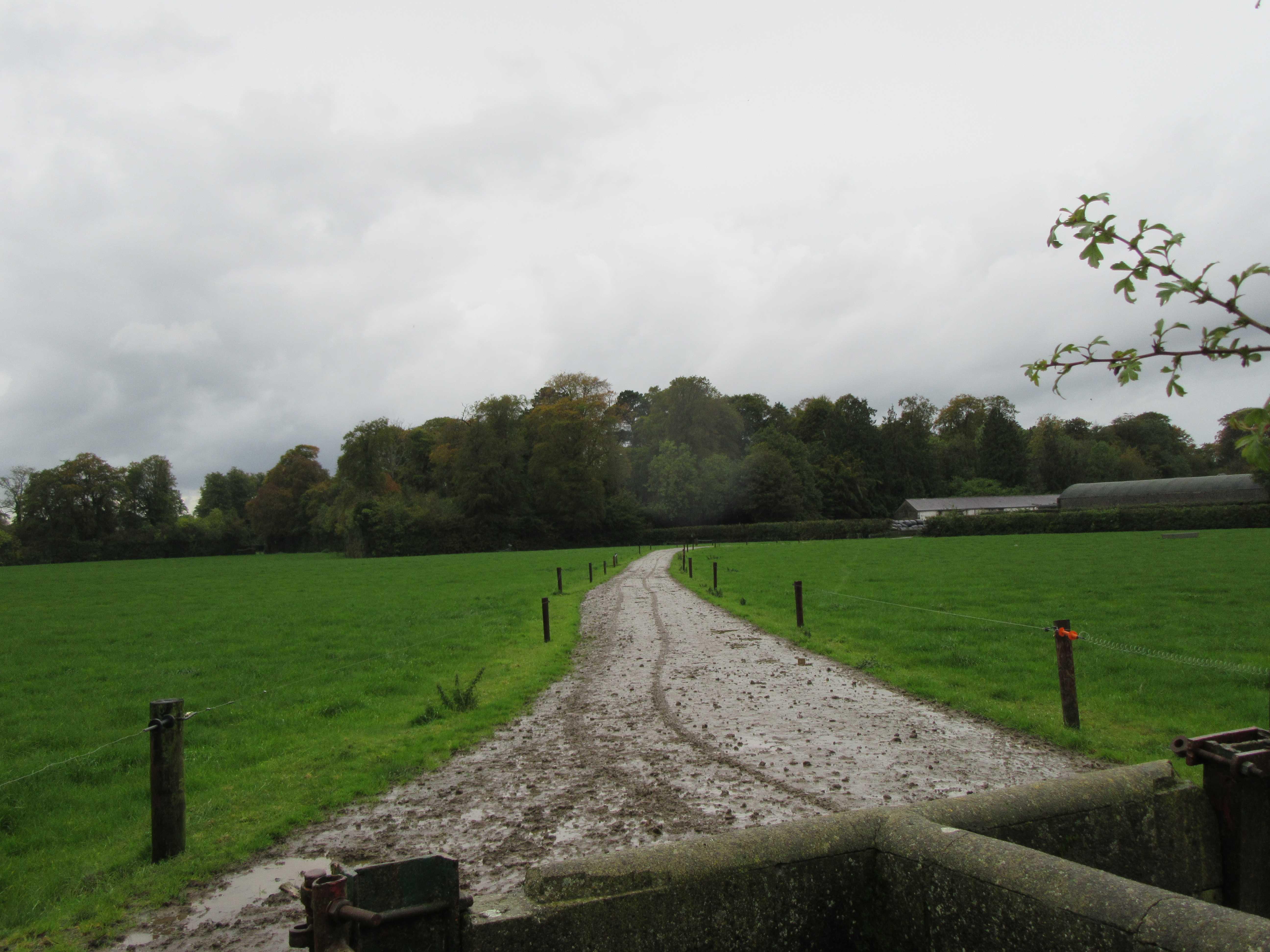 The Grass Week: how grazing infrastructure is helping to get extra days at grass The Grass Week: how grazing infrastructure is helping to get extra days at grass