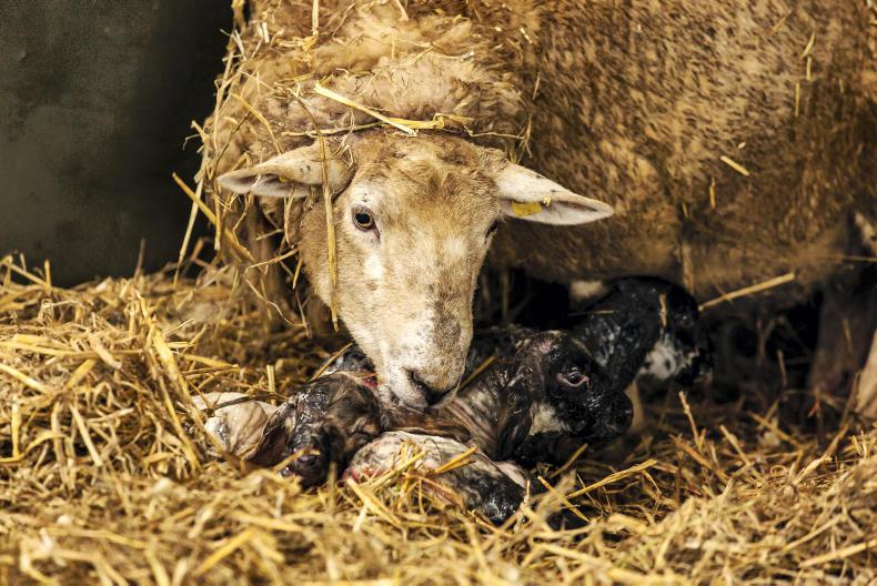 Performance recording can provide massive gains Performance recording can provide massive gains